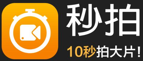 全身就4块钱依然收养4只狗