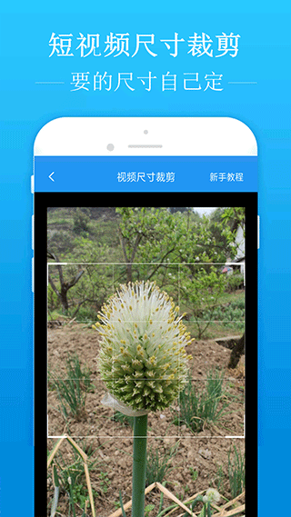 都是表面夫妻？